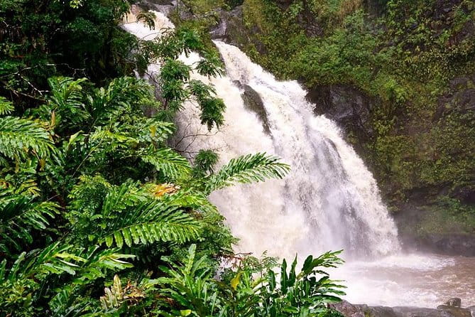 Deluxe Halfway to Hana: Private Tour from Kahului - Who Will Love This Tour?