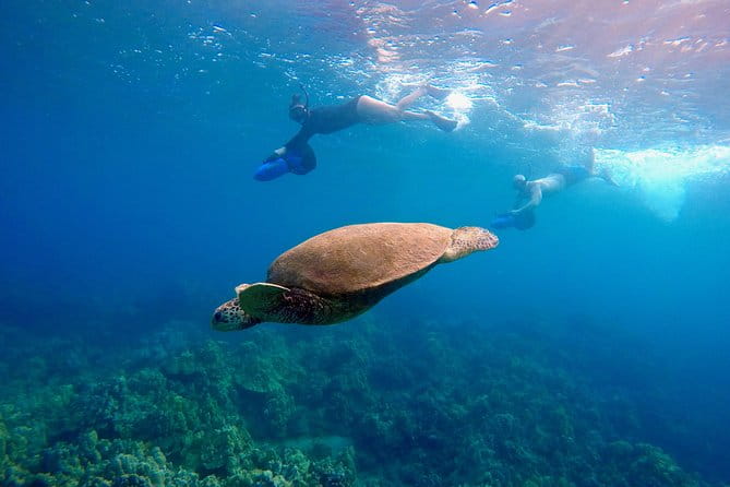 Guided Sea Scooter Snorkeling Tour Wailea Beach - Who Will Love This Experience?