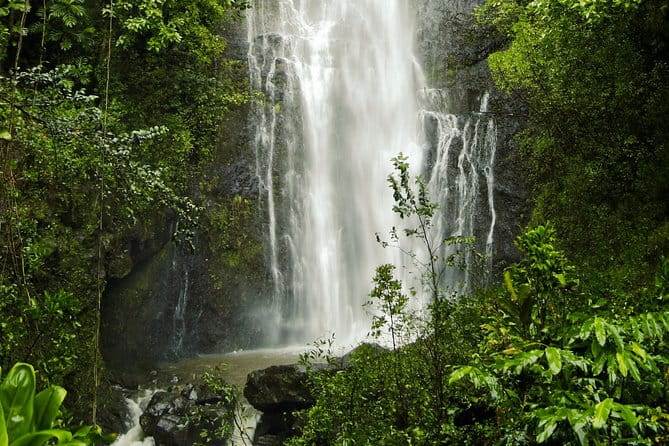 Road to Hana Tour with Lunch and Pickup - Practical Tips for Making the Most of Your Day