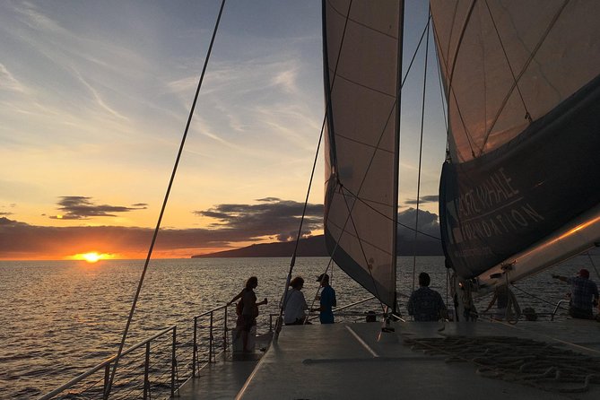 Sunset Sail from Ma'alaea Harbor - Authentic Reviews: What Travelers Say