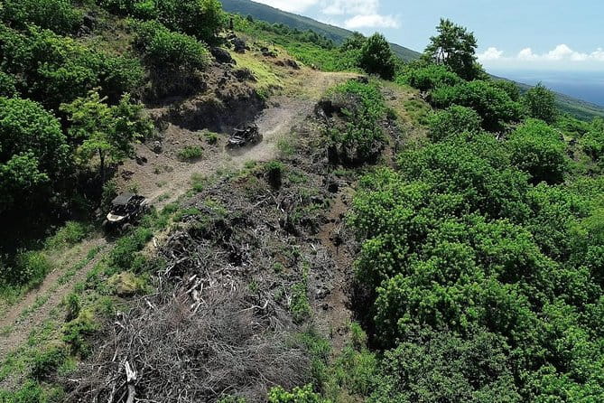 Lahaina ATV Adventure, Maui - Value and Price Considerations