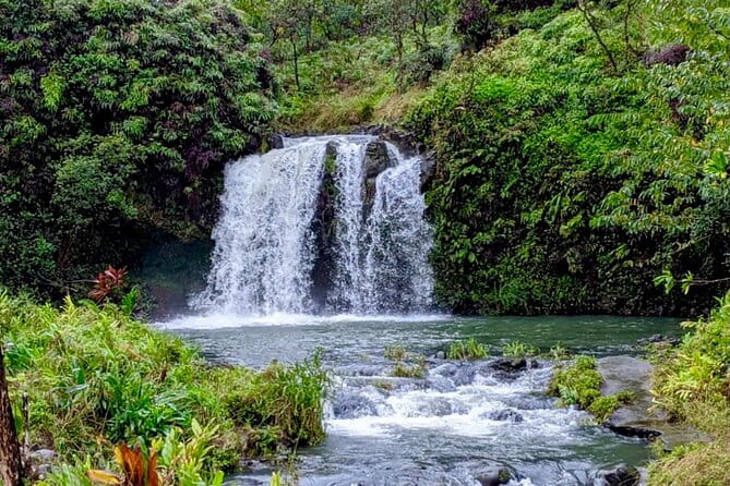 Small Group Road to Hāna Tour 6 to 8 passengers - The Value of This Small-Group Experience