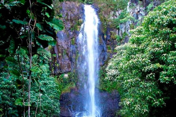 Small Group Road to Hāna Tour 6 to 8 passengers - Who Should Consider This Tour?
