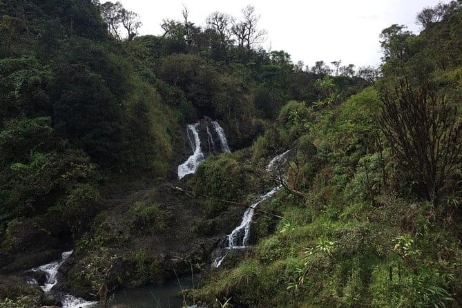 Small-Group Road to Hana Adventure Tour with Pickup & Lunch - Key Points
