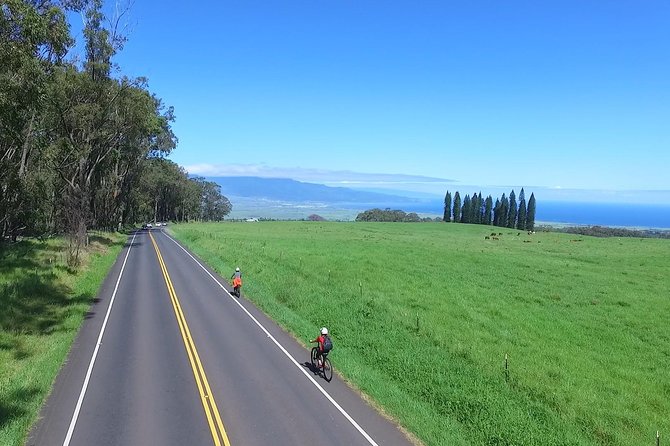 Best Haleakala Downhill Self-Guided Bike Tour with Maui Sunriders - The Itinerary in Detail