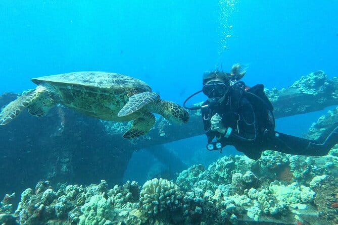 Small-Group Shark and Turtle Dive for Certified Divers - Final Thoughts