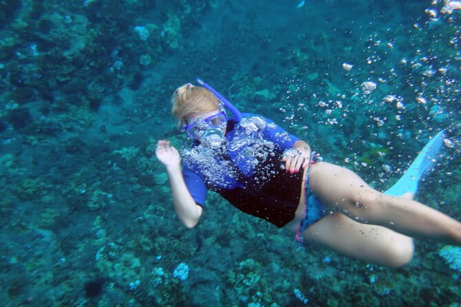 Molokini Crater Snorkeling Adventure - Who Will Love This Tour?