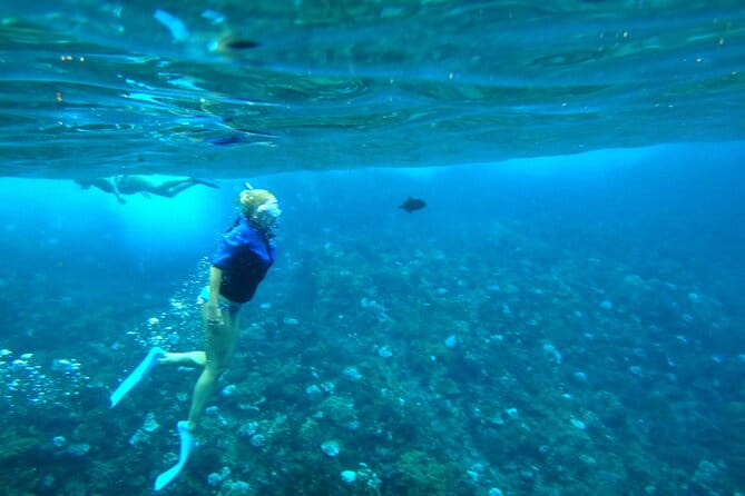Maui Snorkel & Slide - FAQ: Your Questions Answered