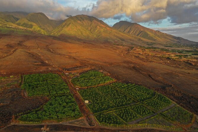Lahaina: Maui Ku'ia Estate Guided Cacao Farm Tour and Tasting - The Value: Is It Worth the Price?