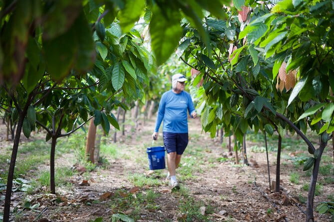 Lahaina: Maui Ku'ia Estate Guided Cacao Farm Tour and Tasting - Practical Details: What to Expect and How to Prepare