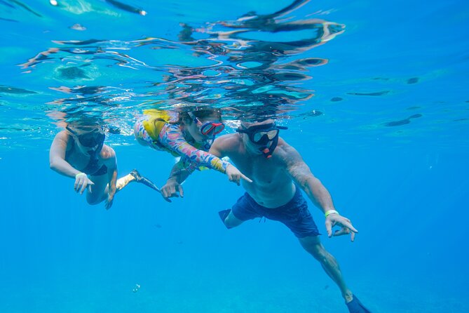 Molokini Crater and Turtle Town Snorkeling From Kihei - FAQ