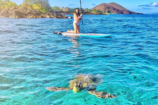 Private Stand Up Paddle Boarding Tour in Turtle Town, Maui - The Value for Money