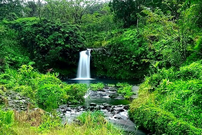 Rainforest Tour to Hana and Beyond - FAQ