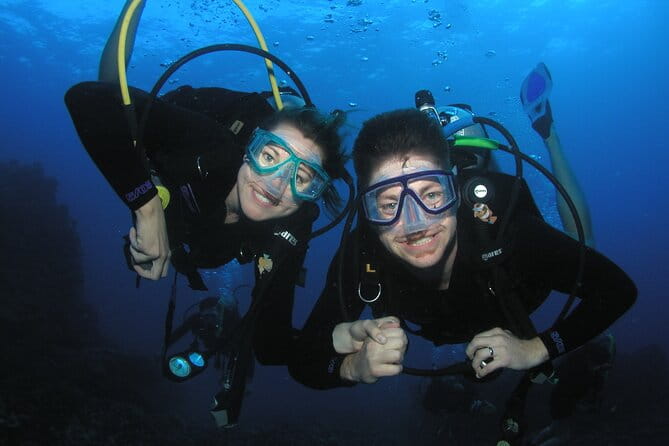 Intro/Refresher Dive Swim Ability Required - What Makes This Tour Stand Out