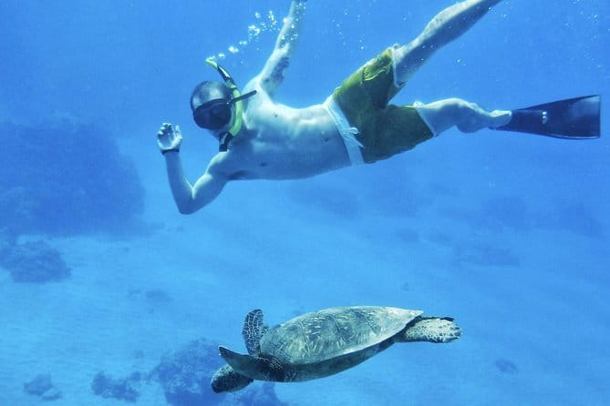 West Maui Half Day Snorkel from Ka’anapali Beach - The Sum Up: Why Choose This Tour?