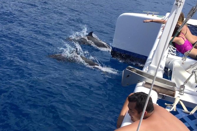 Afternoon West Maui Snorkel from Ka’anapali Beach - Final Thoughts