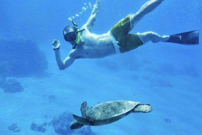 2.5 Hour Xpress Snorkel from Ka’anapali Beach - Practical Details and Considerations