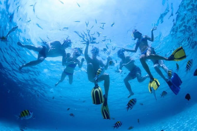 2.5 Hour Xpress Snorkel from Ka’anapali Beach - FAQ