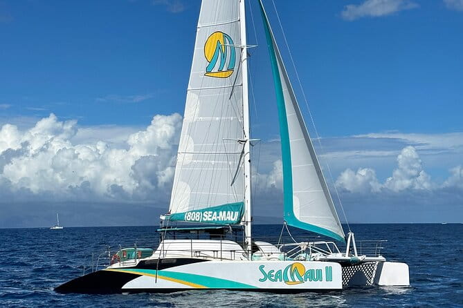 2.5 Hour Xpress Snorkel from Ka’anapali Beach - Authentic Experiences and Reviews