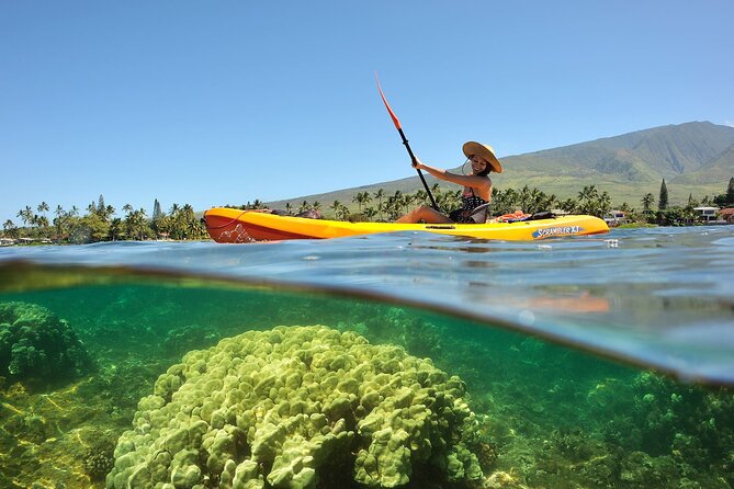 Turtle Reef Kayak Tour of Makena, Maui - FAQ