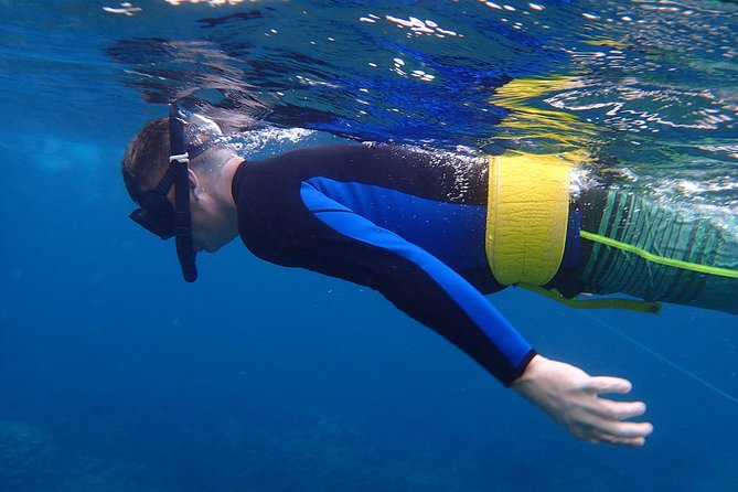 Four Winds Molokini Snorkeling Tour from Maalaea Harbor - Snorkeling at Molokini Crater