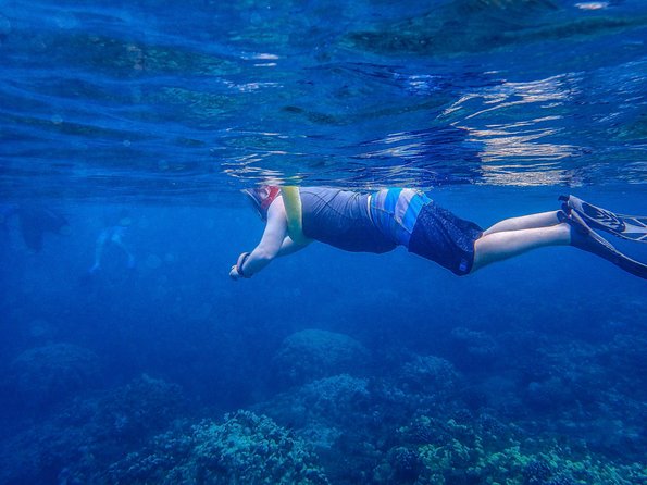 Four Winds Molokini Snorkeling Tour from Maalaea Harbor - The Return and Reflection