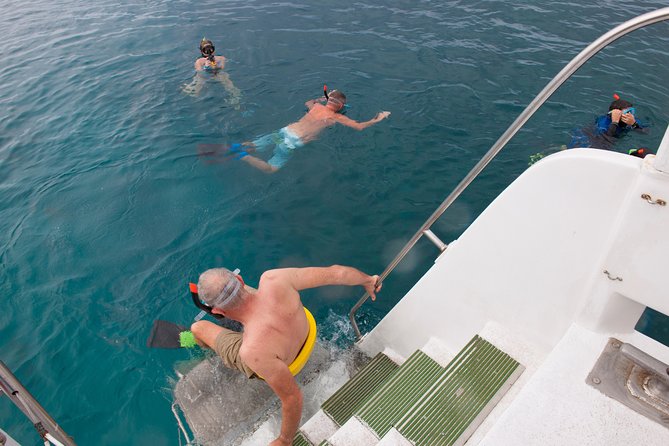 Four Winds Molokini Snorkeling Tour from Maalaea Harbor - Who Will Love This Tour?