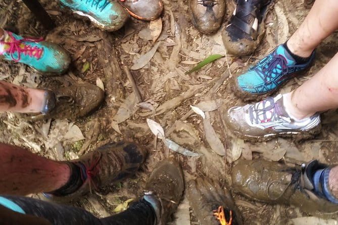 Small Group Waterfall and Rainforest Hiking Adventure on Maui - What You’ll See and Do