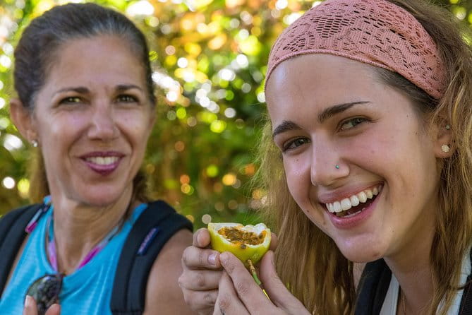 Small Group Waterfall and Rainforest Hiking Adventure on Maui - Authentic Experiences and Highlights from Reviews