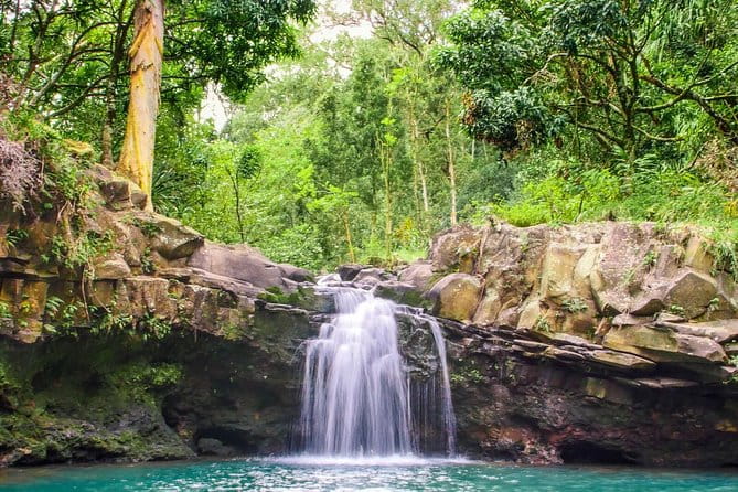 Small Group Waterfall and Rainforest Hiking Adventure on Maui - Logistics and Practical Tips