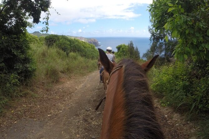 Maui Horseback Adventure at Circle M Ranch With Real Cowboys - Final Thoughts: Who Should Consider This Tour?