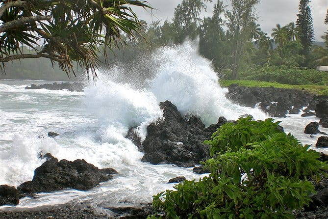 Small-Group Road to Hana Luxury Tour - The Sum Up: Who Will Love This Tour?