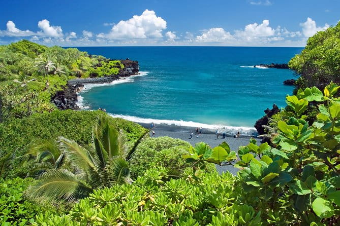 Small-Group Road to Hana Luxury Tour - What the Reviews Say