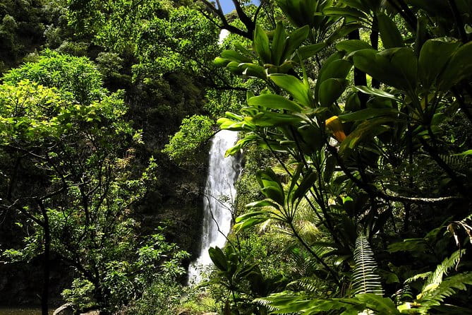 Small-Group Road to Hana Luxury Tour - Who Is This Tour Best For?