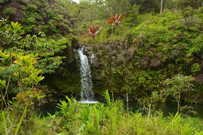 Small-Group Road to Hana Luxury Tour - Frequently Asked Questions