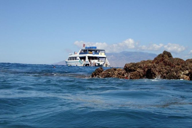 From Maalaea: Whale Watching Tour Aboard the Quicksilver - FAQs