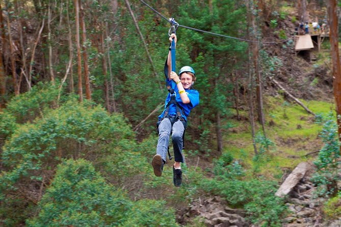 Haleakala 6 Line Zipline Adventure - Pricing and Value