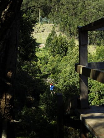 Haleakala 6 Line Zipline Adventure - FAQ