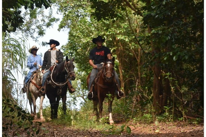 West Maui Mountain Waterfall and Ocean Tour via Horseback - The Guides and Equipment