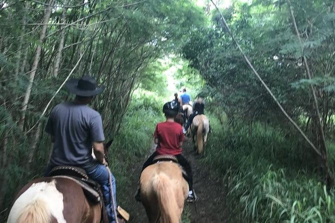 West Maui Mountain Waterfall and Ocean Tour via Horseback - Authentic Feedback from Travelers