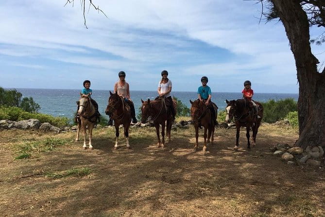West Maui Mountain Waterfall and Ocean Tour via Horseback - Authentic Encounters and Animal Farm