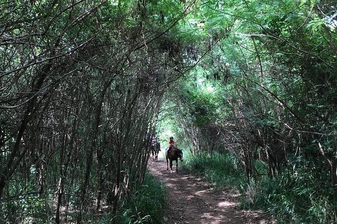 West Maui Mountain Waterfall and Ocean Tour via Horseback - Pricing and Value