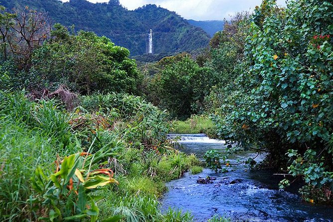 Hana Rainforest Helicopter Flight with Landing from Maui - The Unique Landing in Wailua Valley