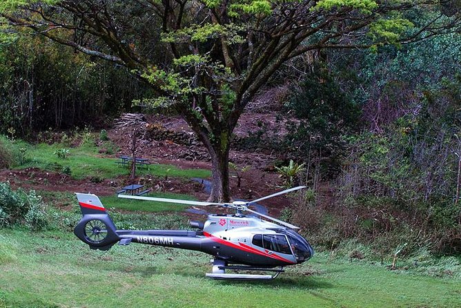 Hana Rainforest Helicopter Flight with Landing from Maui - The Price and Its Value