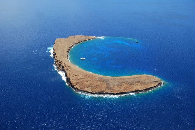 Molokini Snorkeling Adventure Aboard Calypso From Ma'alaea Harbor - Key Points