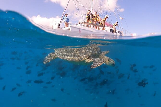 Turtle Snorkeling Boat Tour and Adventure in Waikiki - Final Thoughts: Who Will Love This Tour?