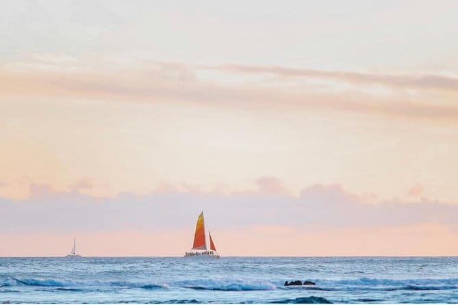 Waikiki Sunset Cocktail Sail with Open Bar - Wildlife and Scenic Highlights