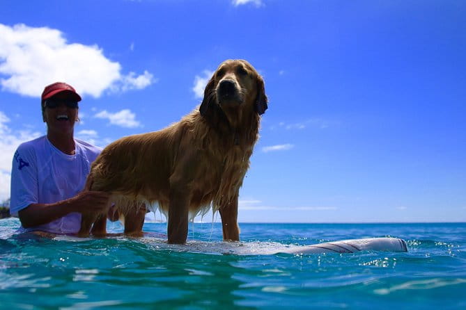 Surf Lessons on the North Shore of Oahu - A Deep Dive Into the Experience