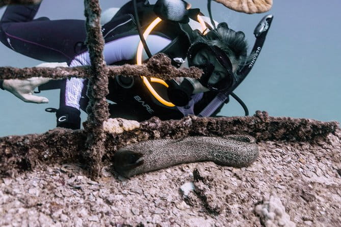 Waikiki 2 Tank World Class Wreck SCUBA Diving - Certified Only - Accessibility and Practical Details