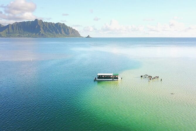 Afternoon Kaneohe Sandbar Snorkeling Tour - Key Points